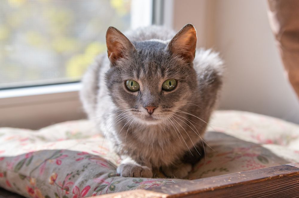 Photograph by Евгений