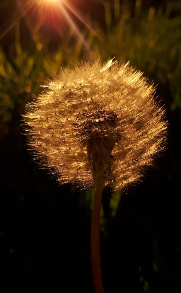 Photograph by Julia Nazarova