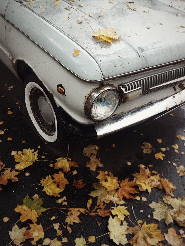 Photograph by Василий Селиванов