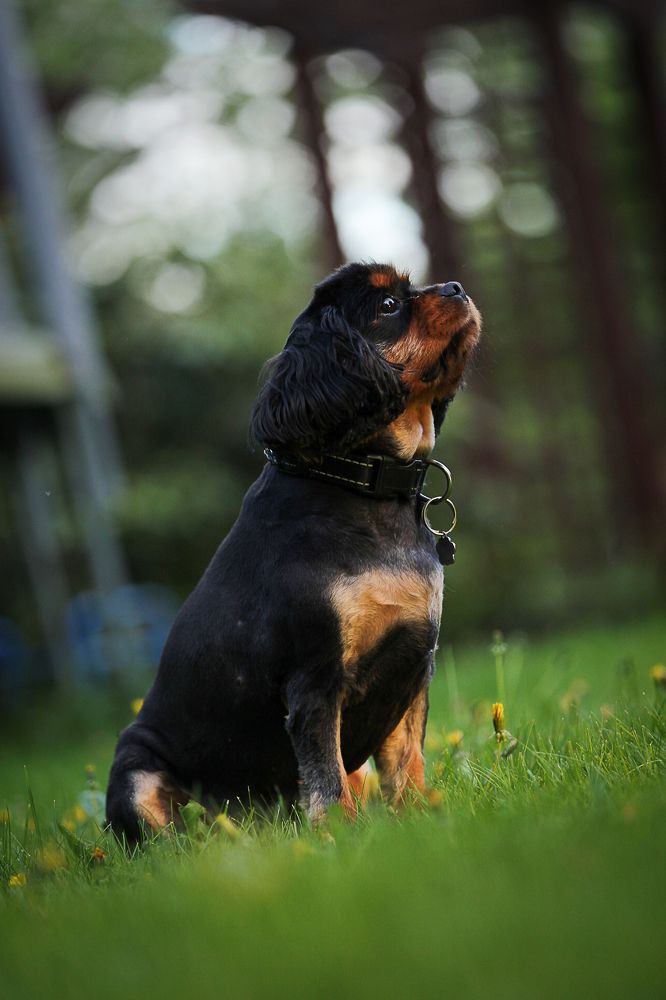 Photograph by Анатолий Буянов