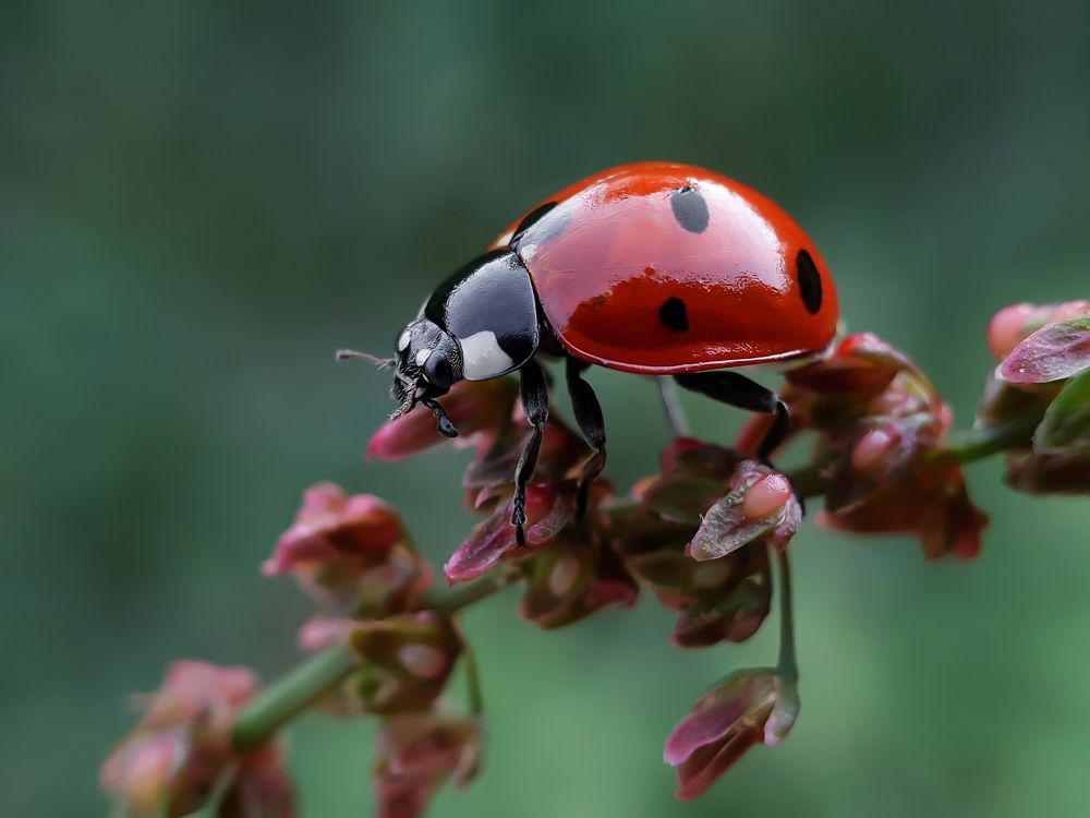 Photograph by Soheil Shahbazi