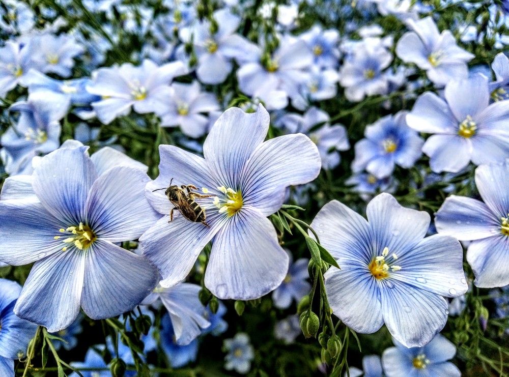 Photograph by Федоренко Элеонора