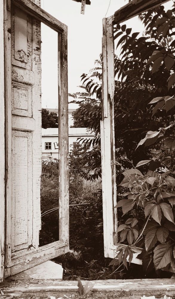 Photograph by Анастасия Кашенко