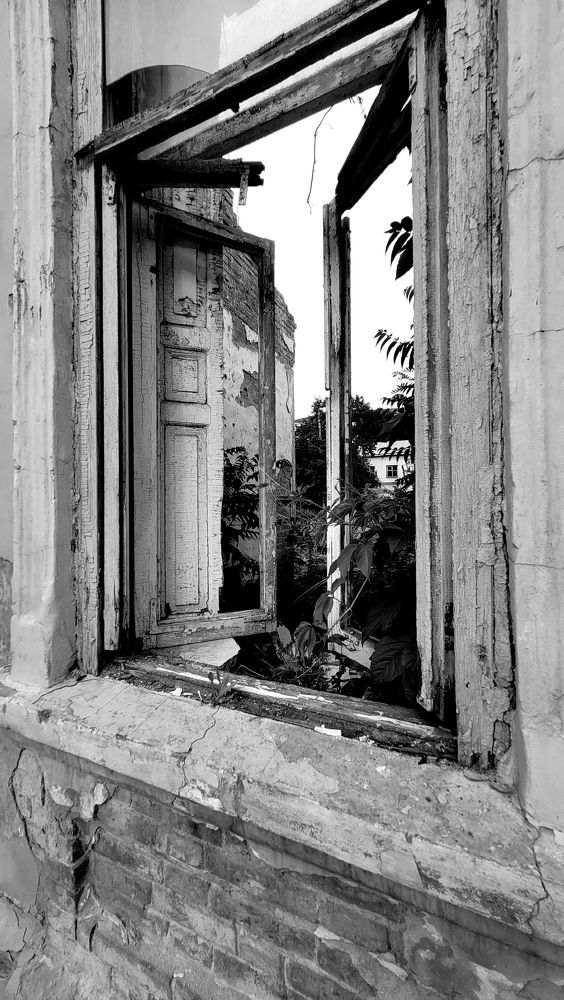 Photograph by Анастасия Кашенко