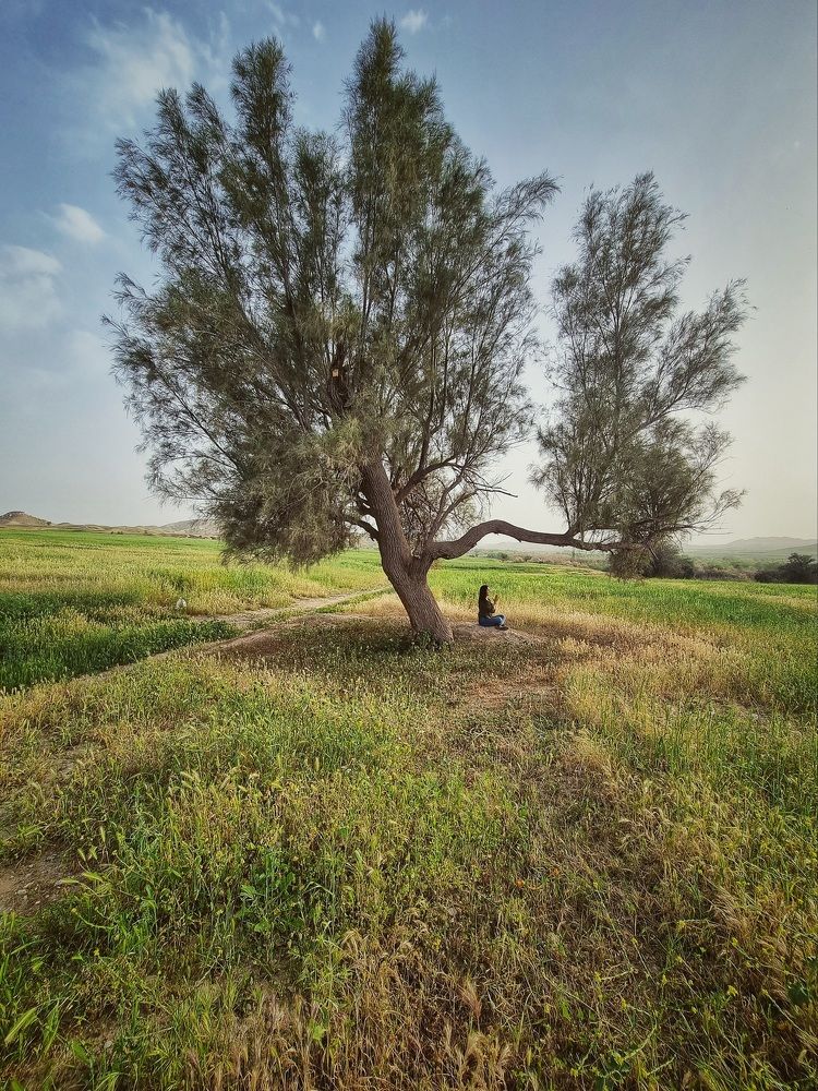 Фотография автора Z Fatemi