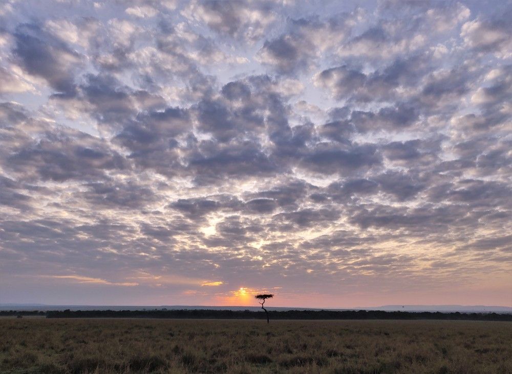 Photograph by Ranjith Kumar