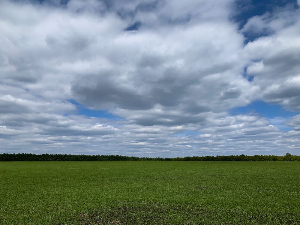 Photograph by Анастасия Слободская