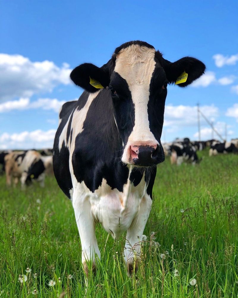 Photograph by Лариса Акинчиц