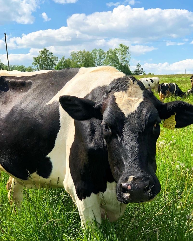 Photograph by Лариса Акинчиц