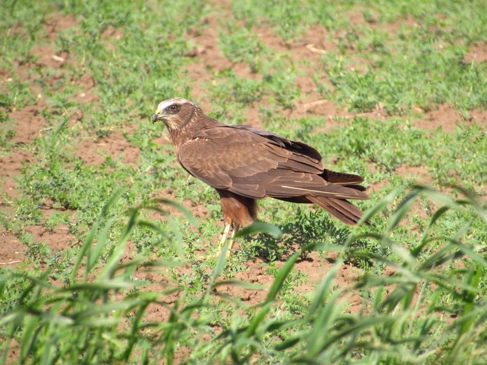 Photograph by Денис Веску
