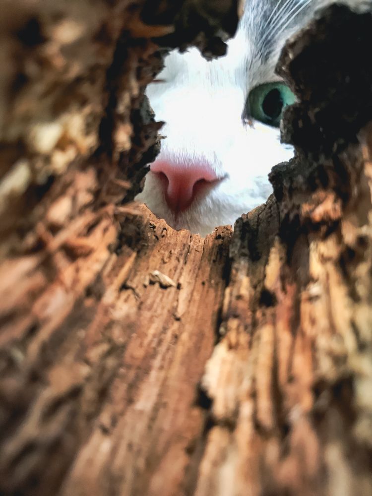 Photograph by Димитрий Осинцев