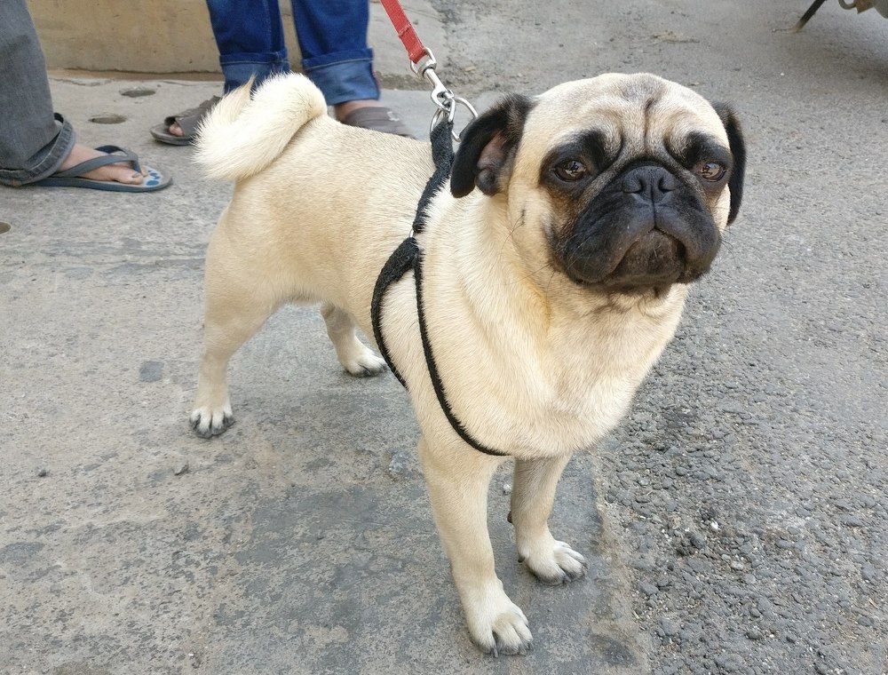 Photograph by Ranjith Kumar