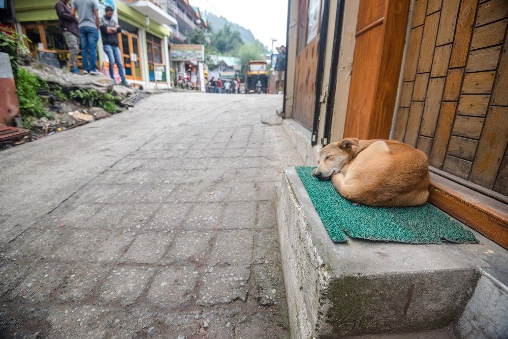 Photograph by Ranjith Kumar