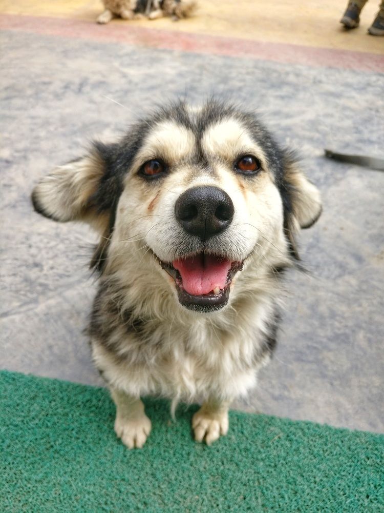 Photograph by Ranjith Kumar