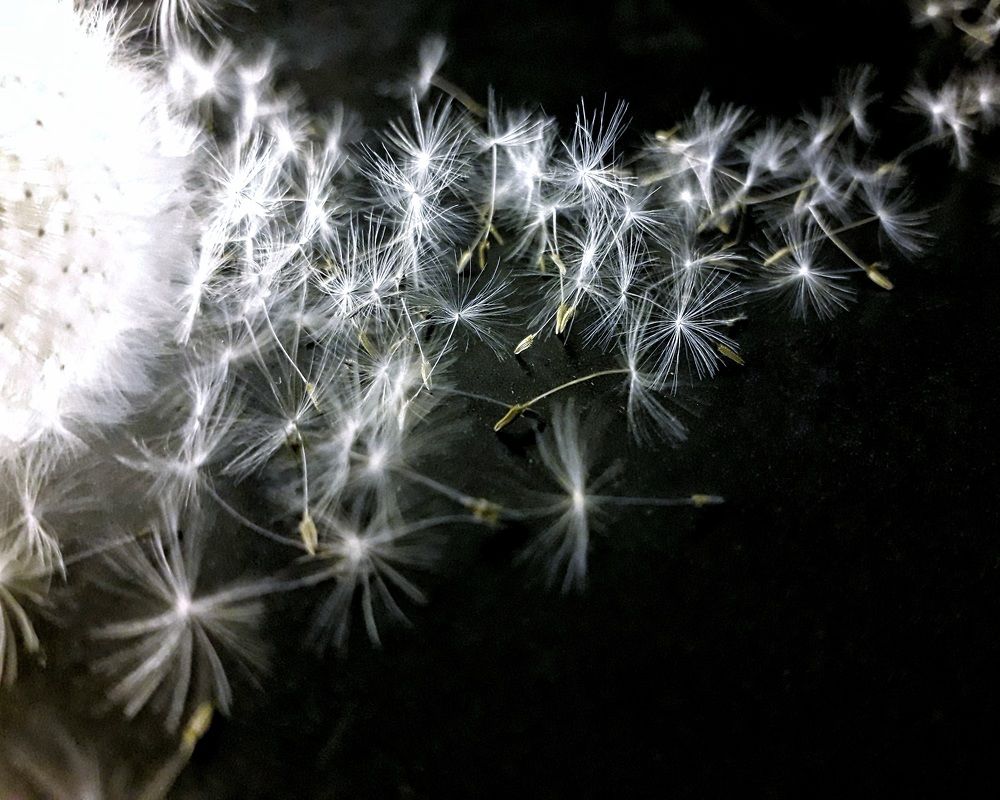 Photograph by Людмила