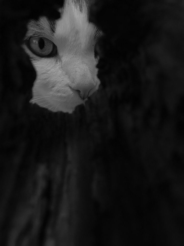 Photograph by Димитрий Осинцев