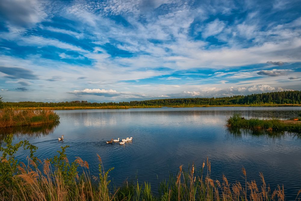 Photograph by Сергей Лазарев