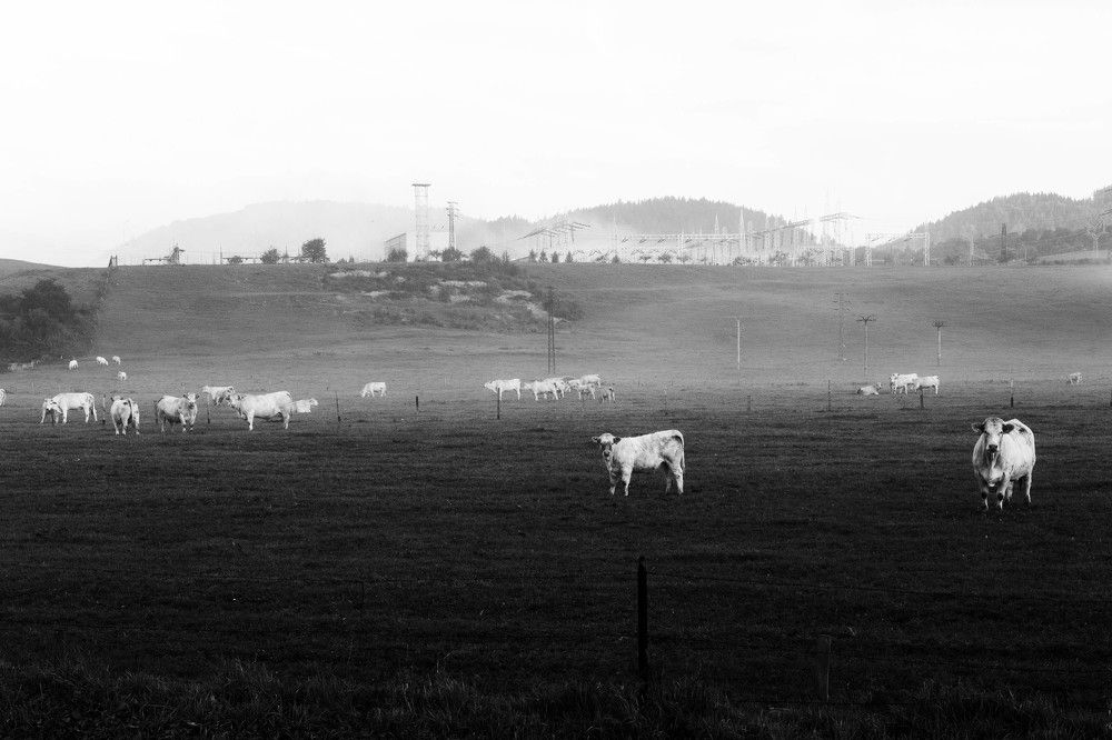 Фотография автора Josef Nový