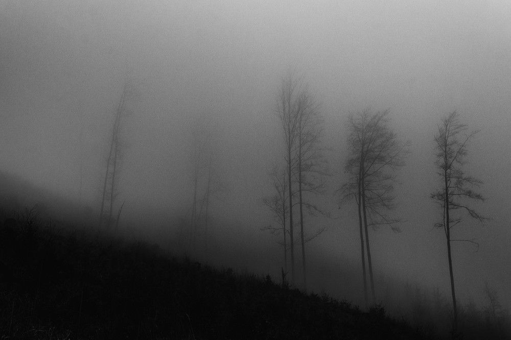 Фотография автора Josef Nový