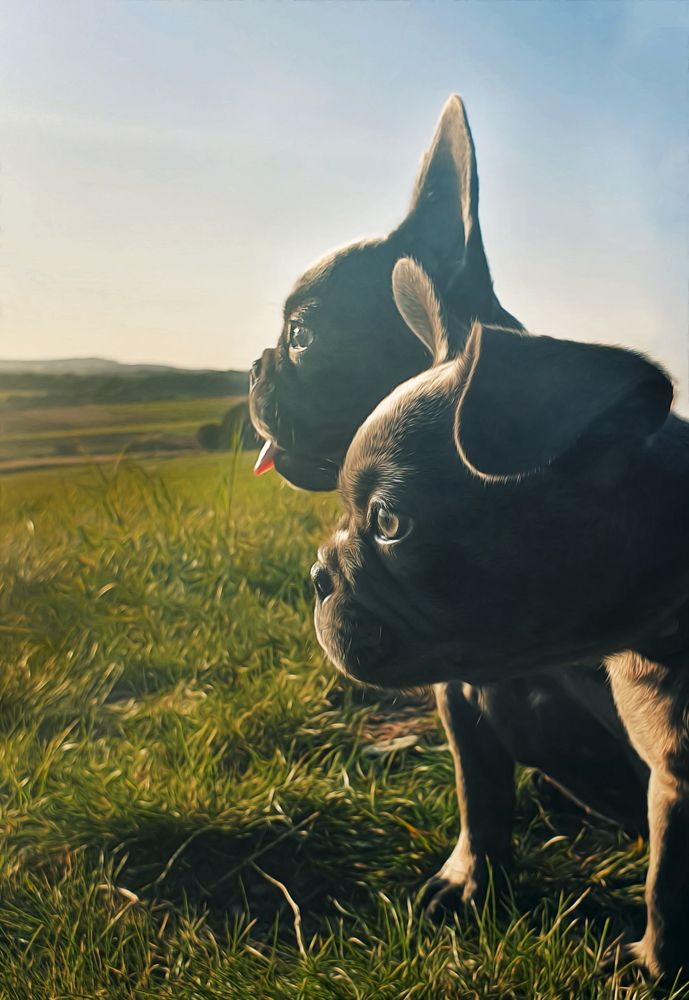 Photograph by Виктория Миллер