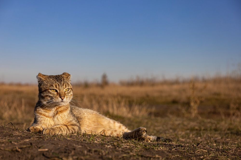 Photograph by Антон Дроздов