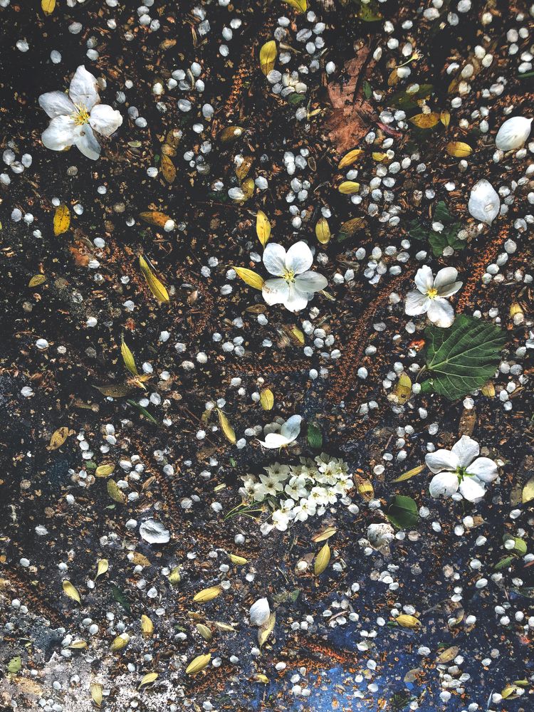 Photograph by Валентина Старикова