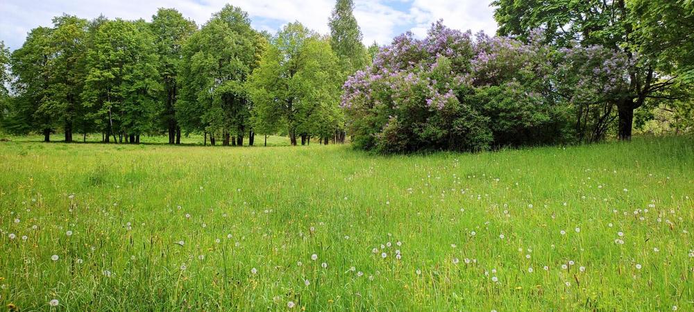 Photograph by TERESA Yurkevich