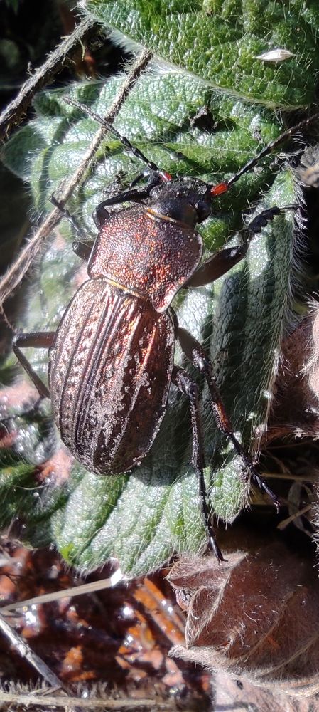 Photograph by Светлана Фладунг