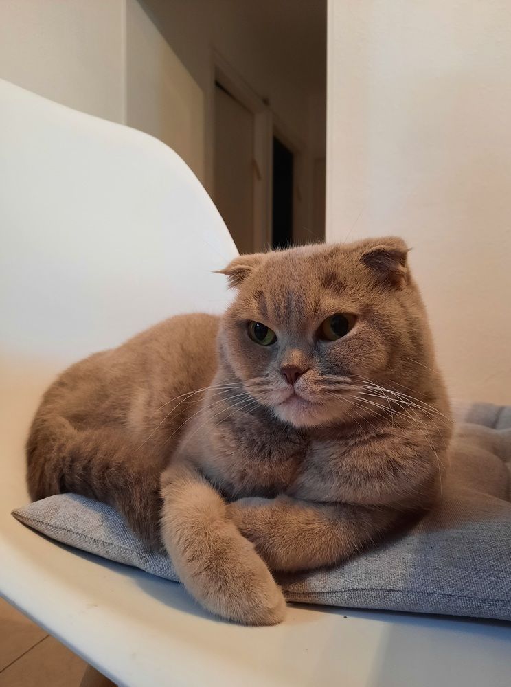 Фотография автора Tetiana Danylenko