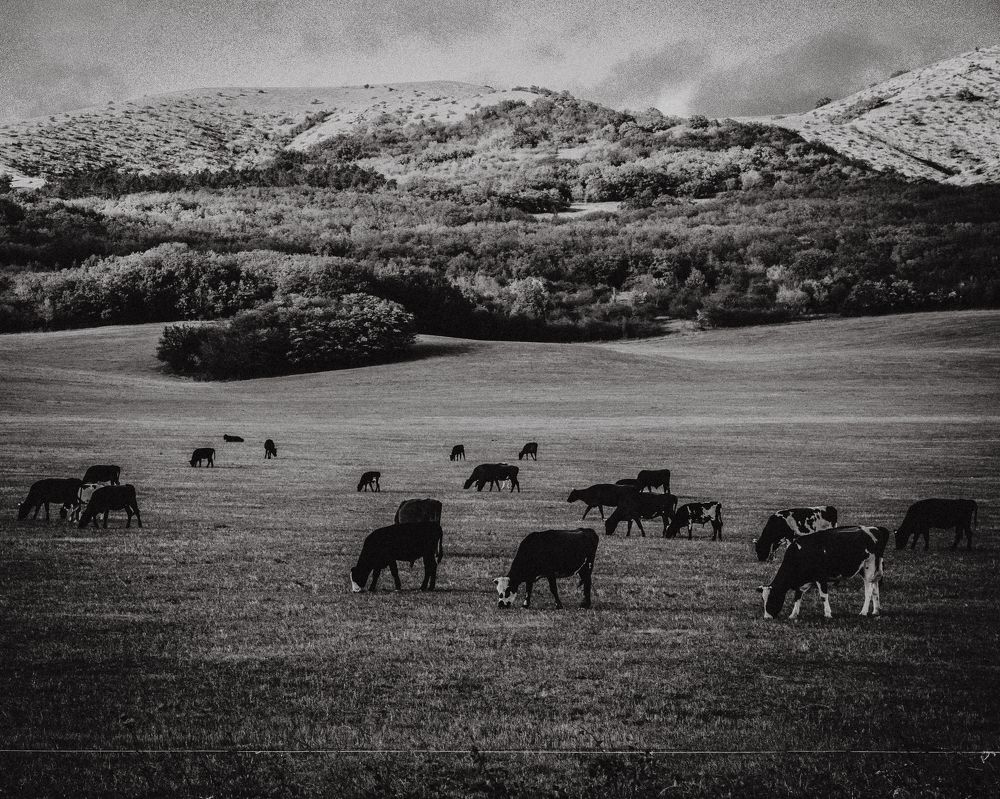 Photograph by Никита Зыков