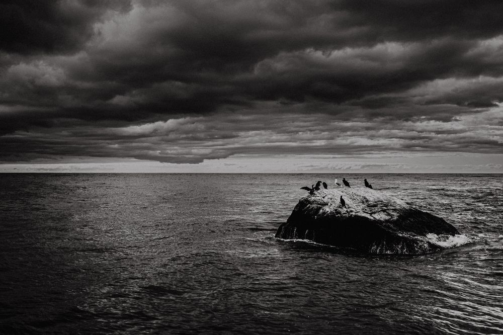 Photograph by Никита Зыков