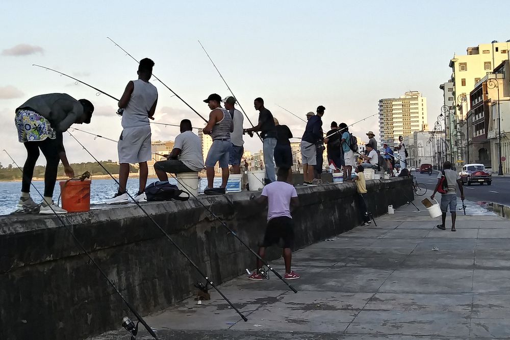 Photograph by Luisa Martina Hernández