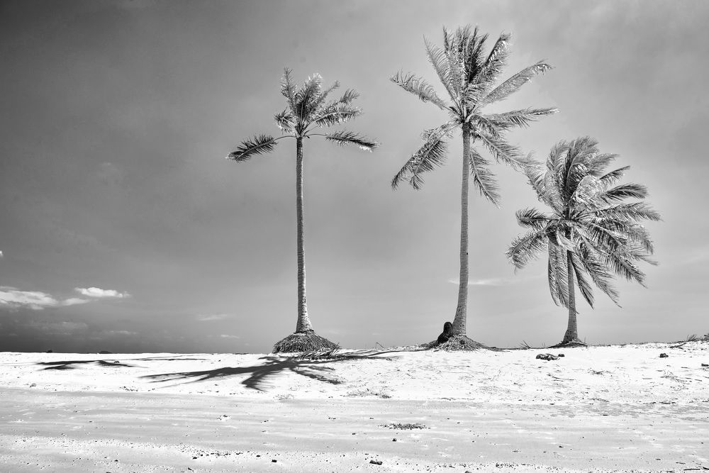 Photograph by Elena Biianu