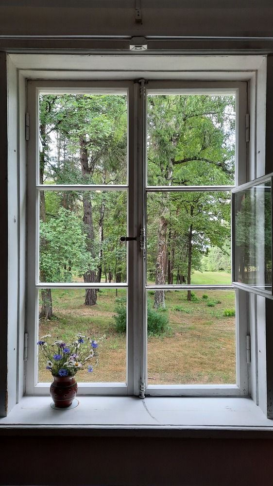 Photograph by Галина Шипухина