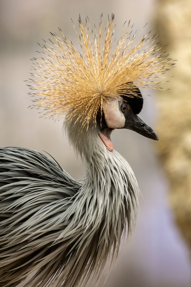 Photograph by Rasoul