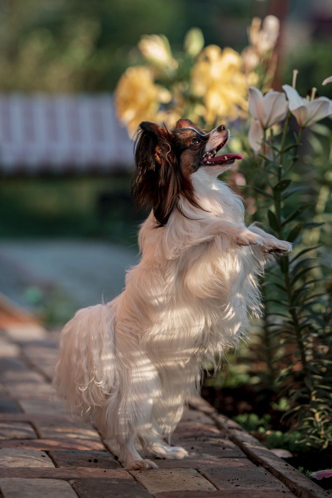 Photograph by Юлия Честнова