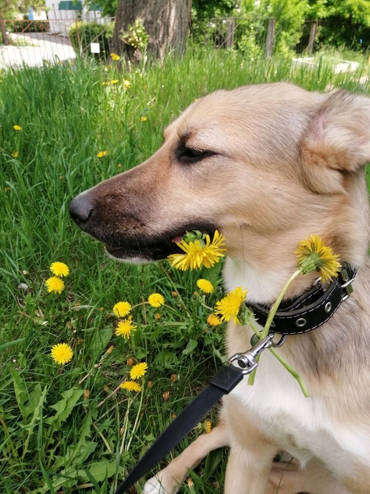 Photograph by Светлана Кудянова