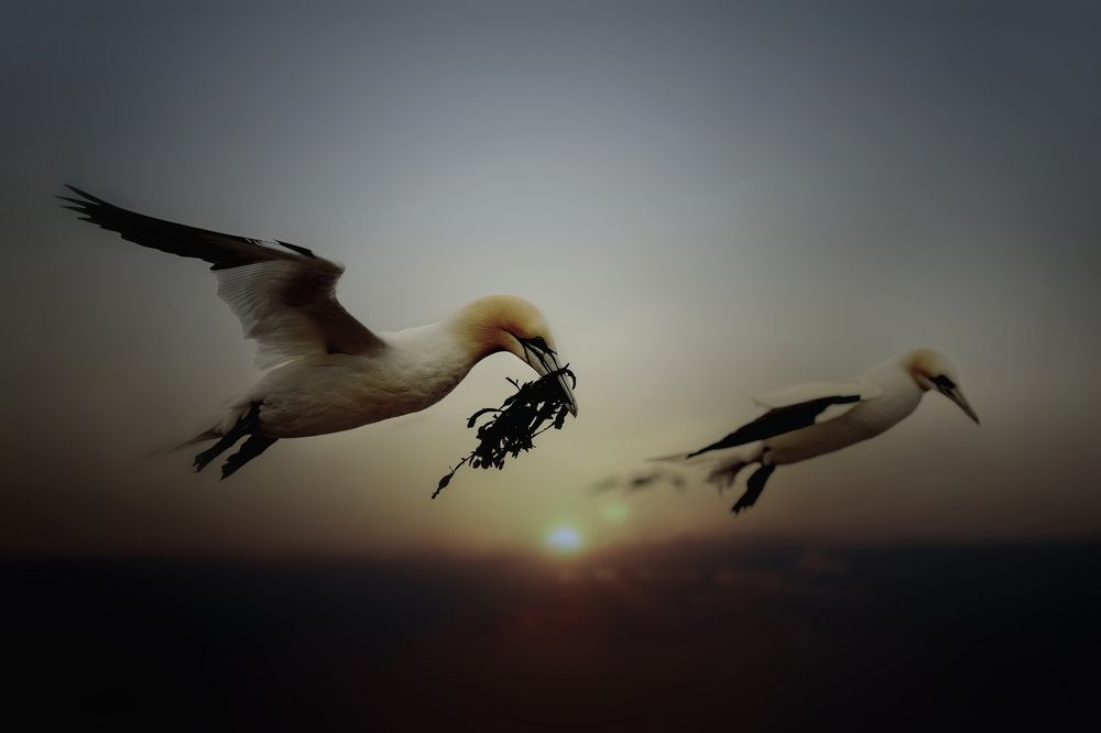 Photograph by Michaela Firešová