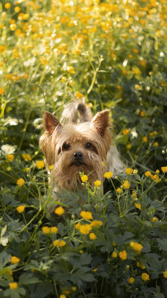 Photograph by Ольга Ивченко