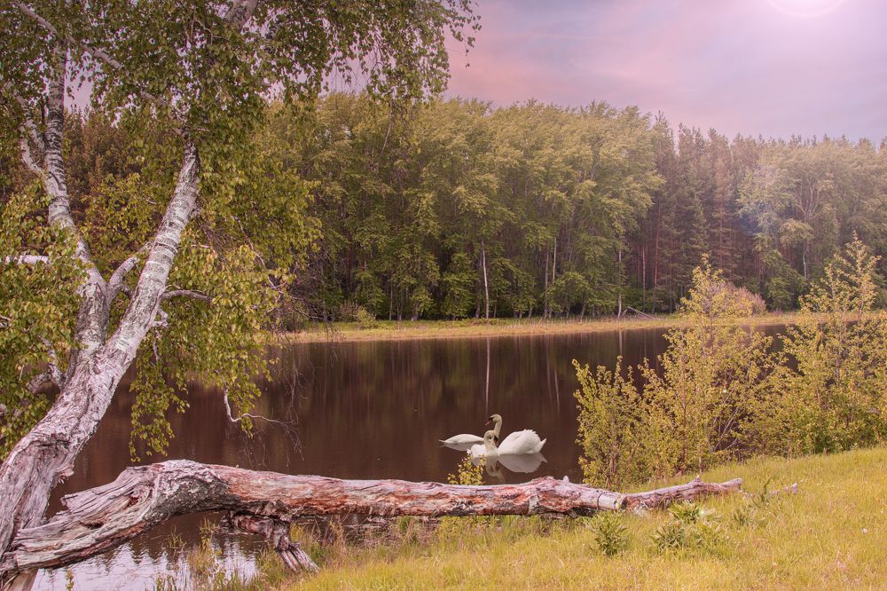 Photograph by Валерий Шорохов