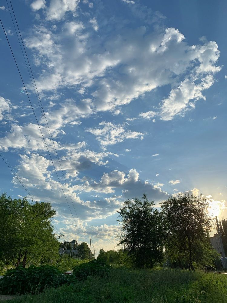 Photograph by Елена