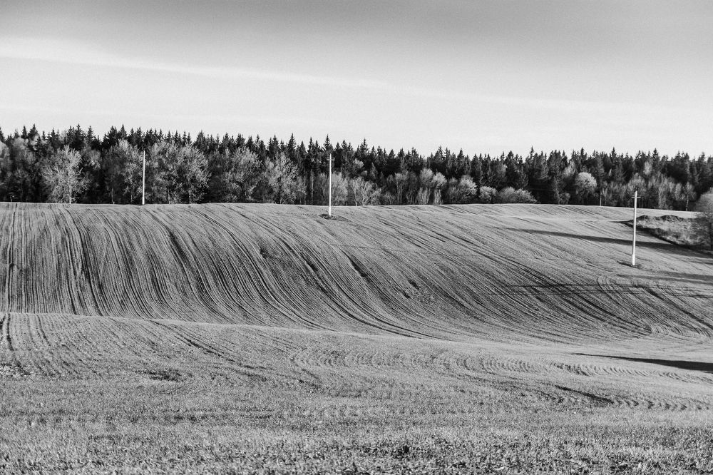 Photograph by Марина Пчелинцева