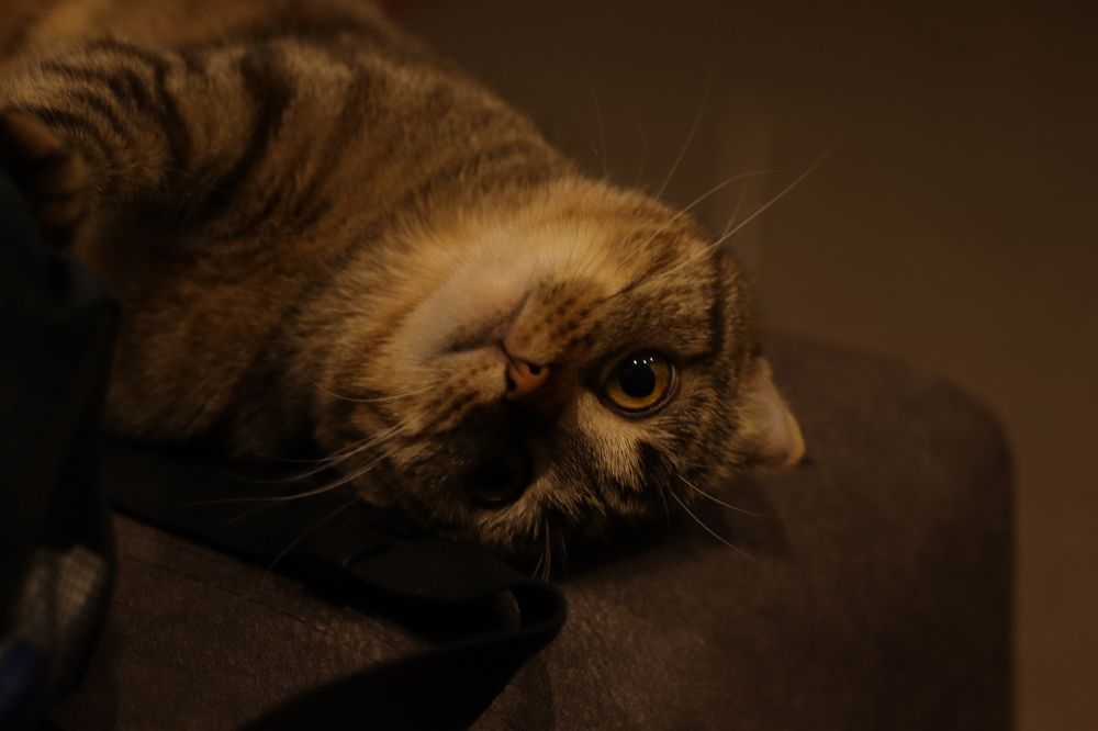 Photograph by Иван Скрипкин