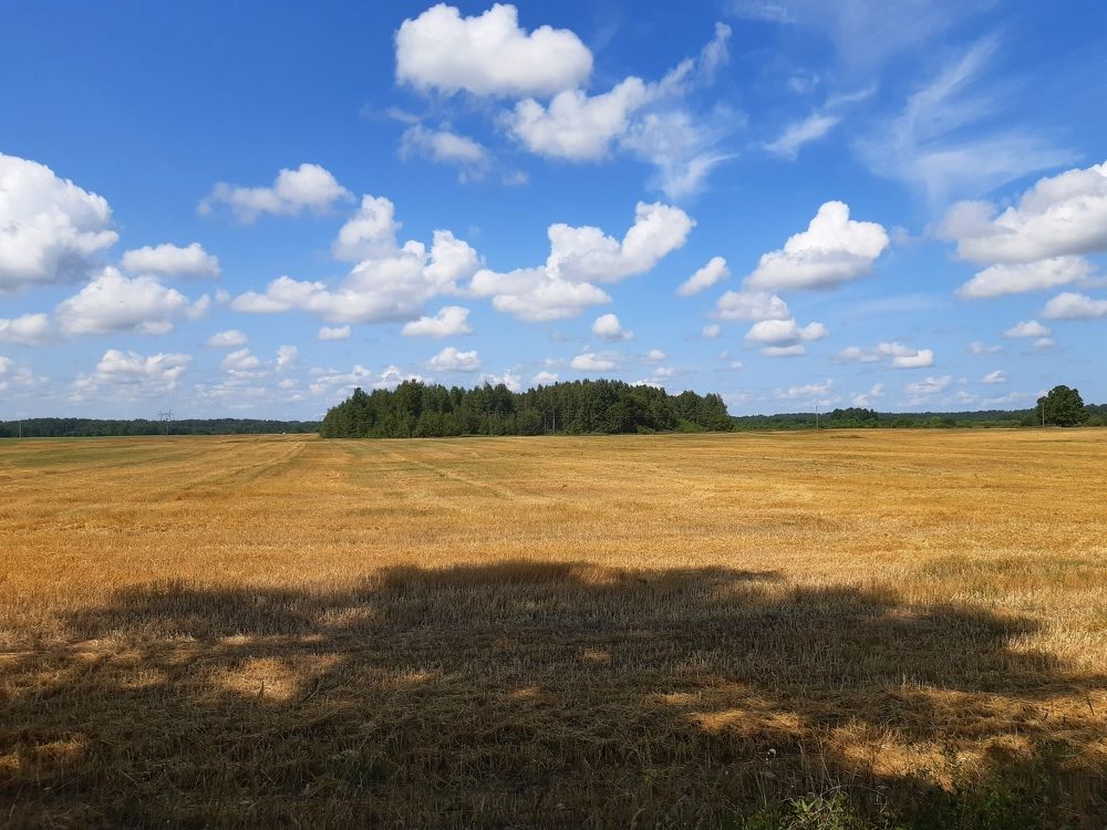 Photograph by Инесса Громова