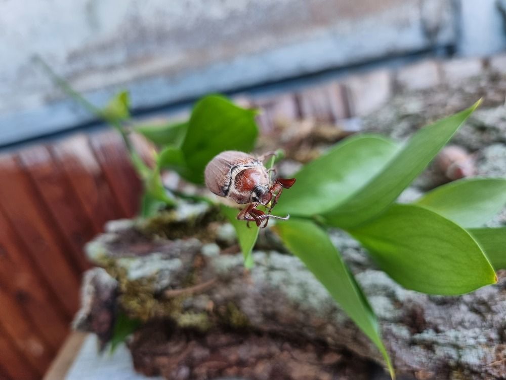 Photograph by Екатерина Аксёнова