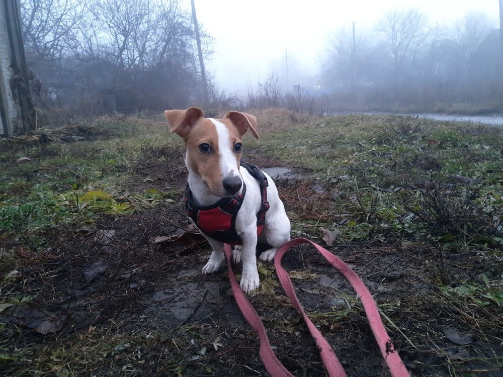 Photograph by Анатолий Григорьев