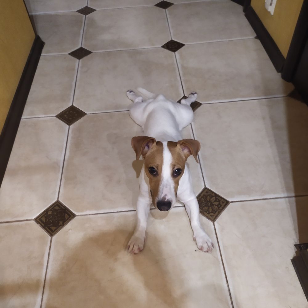 Photograph by Анатолий Григорьев