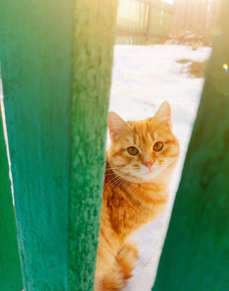 Photograph by Алсу Исмагилова