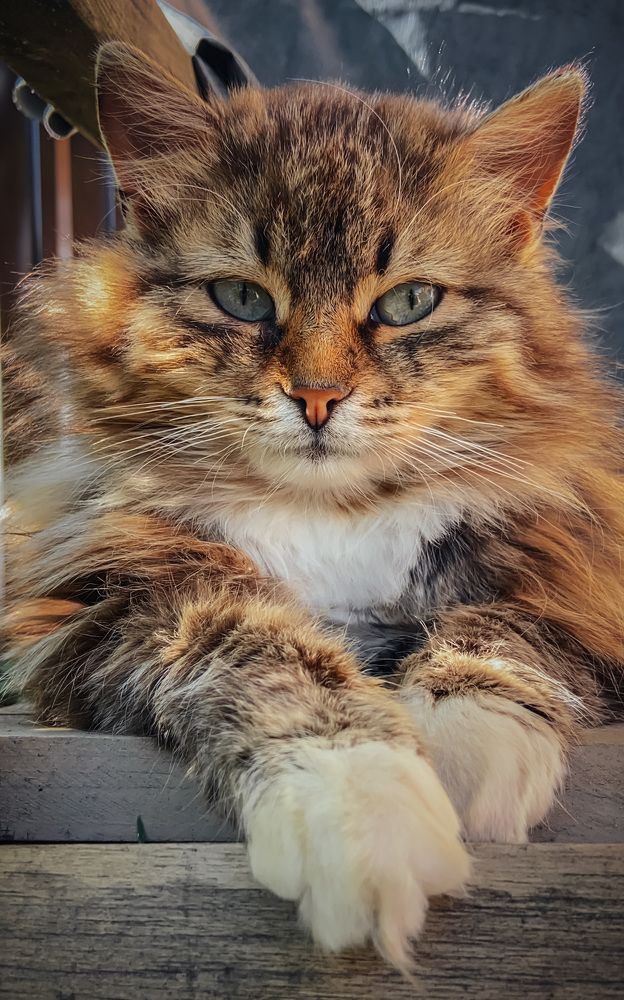 Photograph by Анна Леонова