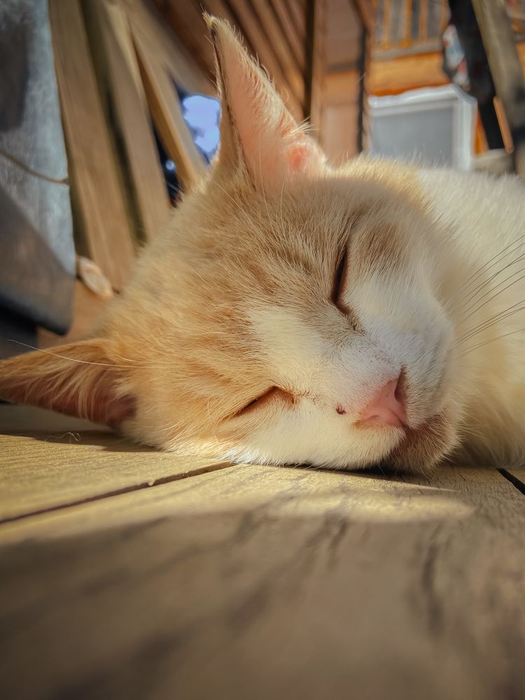 Photograph by Анна Леонова